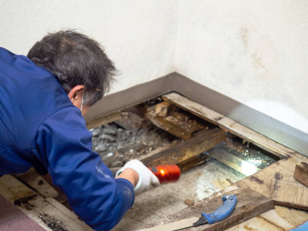 Best Post-Remediation Services in Hillcrest, NY