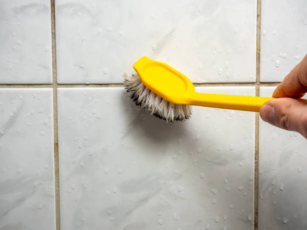 Best Kitchen Mold Remediation in Hillcrest, NY