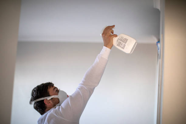 Best Residential Mold Remediation in Hillcrest, NY