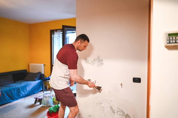 Best DIY Mold Remediation Support Services in Hillcrest, NY